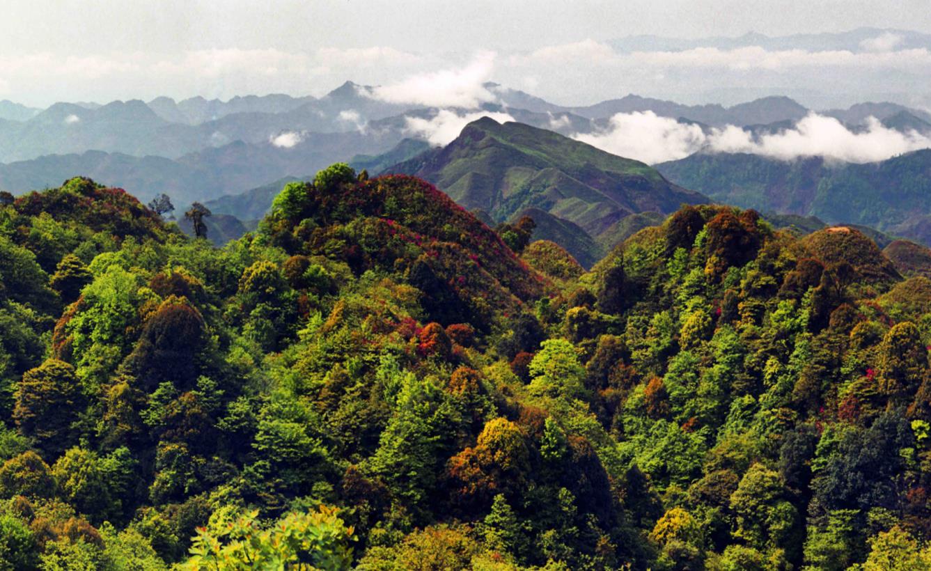 貴州省黔西南州安龍縣國家儲備林基地建設(shè)林權(quán)資產(chǎn)評估
